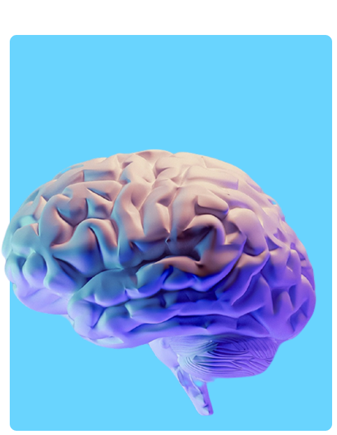 Tratamientos Neuropsicológicos